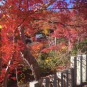 ヒメ日記 2025/12/03 19:08 投稿 森下 つぐみ ほっこりーヌ谷九店