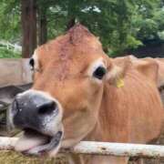 ヒメ日記 2025/12/06 18:35 投稿 森下 つぐみ ほっこりーヌ谷九店