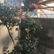 ヒメ日記 2025/12/23 20:03 投稿 森下 つぐみ ほっこりーヌ谷九店