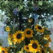 ヒメ日記 2025/01/19 06:56 投稿 有吉 熟女の風俗最終章 新横浜店