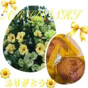 ヒメ日記 2025/02/09 09:10 投稿 有吉 熟女の風俗最終章 新横浜店