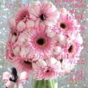 ヒメ日記 2025/05/13 19:30 投稿 有吉 熟女の風俗最終章 新横浜店