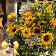 ヒメ日記 2025/05/13 21:46 投稿 有吉 熟女の風俗最終章 新横浜店