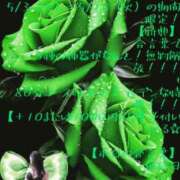 ヒメ日記 2025/05/14 04:26 投稿 有吉 熟女の風俗最終章 新横浜店