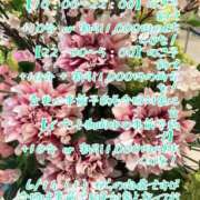 ヒメ日記 2025/06/10 23:26 投稿 有吉 熟女の風俗最終章 新横浜店