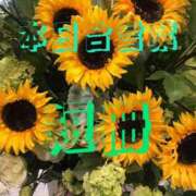 ヒメ日記 2025/07/16 20:26 投稿 有吉 熟女の風俗最終章 新横浜店