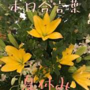 ヒメ日記 2025/08/12 19:26 投稿 有吉 熟女の風俗最終章 新横浜店