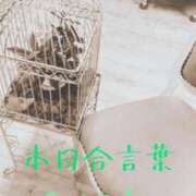 ヒメ日記 2025/08/14 03:16 投稿 有吉 熟女の風俗最終章 新横浜店