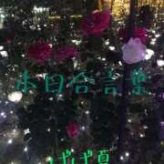 ヒメ日記 2025/08/18 22:50 投稿 有吉 熟女の風俗最終章 新横浜店