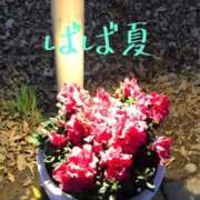 ヒメ日記 2025/08/19 00:26 投稿 有吉 熟女の風俗最終章 新横浜店