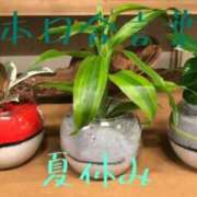 ヒメ日記 2025/08/19 20:46 投稿 有吉 熟女の風俗最終章 新横浜店