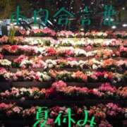 ヒメ日記 2025/08/20 04:26 投稿 有吉 熟女の風俗最終章 新横浜店