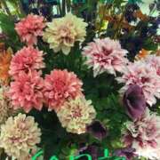 ヒメ日記 2025/08/20 23:26 投稿 有吉 熟女の風俗最終章 新横浜店