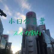 ヒメ日記 2025/08/21 22:44 投稿 有吉 熟女の風俗最終章 新横浜店