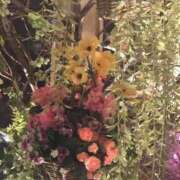 ヒメ日記 2025/08/22 19:34 投稿 有吉 熟女の風俗最終章 新横浜店