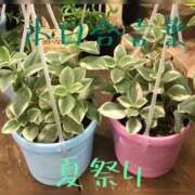 ヒメ日記 2025/08/23 20:46 投稿 有吉 熟女の風俗最終章 新横浜店