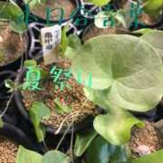 ヒメ日記 2025/08/23 21:36 投稿 有吉 熟女の風俗最終章 新横浜店