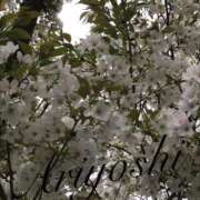 ヒメ日記 2026/04/08 22:56 投稿 有吉 熟女の風俗最終章 新横浜店