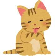 ヒメ日記 2024/12/17 18:22 投稿 さくら 体感サロン マチルダとベロニカ