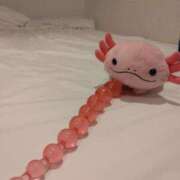 ヒメ日記 2025/08/12 06:32 投稿 さくら 体感サロン マチルダとベロニカ