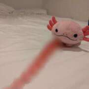 ヒメ日記 2025/08/12 07:55 投稿 さくら 体感サロン マチルダとベロニカ