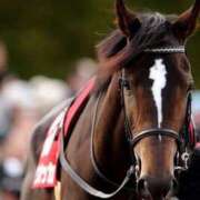 ヒメ日記 2025/12/07 23:32 投稿 さくら 体感サロン マチルダとベロニカ