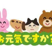 ヒメ日記 2026/02/11 18:11 投稿 さくら 体感サロン マチルダとベロニカ