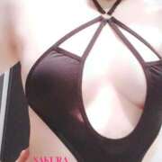 ヒメ日記 2026/02/16 15:05 投稿 さくら 体感サロン マチルダとベロニカ