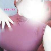 ヒメ日記 2026/03/19 06:09 投稿 さくら 体感サロン マチルダとベロニカ