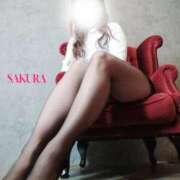 ヒメ日記 2026/03/23 16:59 投稿 さくら 体感サロン マチルダとベロニカ