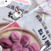 ヒメ日記 2025/01/20 02:37 投稿 きき マリン宮殿雄琴店