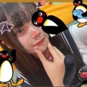 ヒメ日記 2025/01/22 15:27 投稿 きき マリン宮殿雄琴店