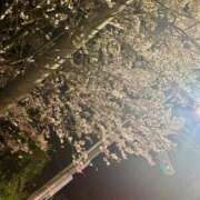 ヒメ日記 2025/04/15 21:07 投稿 きき マリン宮殿雄琴店