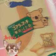 ヒメ日記 2025/05/11 12:47 投稿 きき マリン宮殿雄琴店