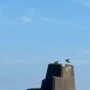 ヒメ日記 2025/08/06 23:37 投稿 きき マリン宮殿雄琴店