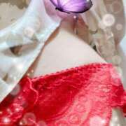 ヒメ日記 2024/12/22 11:14 投稿 弓田 さくら 30代40代50代と遊ぶなら博多人妻専科24時