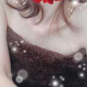 ヒメ日記 2025/03/20 00:04 投稿 弓田 さくら 30代40代50代と遊ぶなら博多人妻専科24時