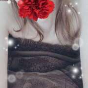 ヒメ日記 2025/04/14 00:26 投稿 弓田 さくら 30代40代50代と遊ぶなら博多人妻専科24時