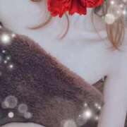 ヒメ日記 2025/04/20 00:00 投稿 弓田 さくら 30代40代50代と遊ぶなら博多人妻専科24時