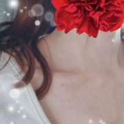 ヒメ日記 2025/05/14 11:58 投稿 弓田 さくら 30代40代50代と遊ぶなら博多人妻専科24時