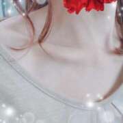 ヒメ日記 2025/05/30 12:23 投稿 弓田 さくら 30代40代50代と遊ぶなら博多人妻専科24時