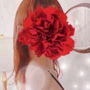 ヒメ日記 2025/07/29 11:34 投稿 弓田 さくら 30代40代50代と遊ぶなら博多人妻専科24時