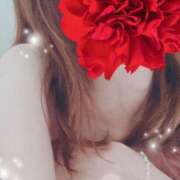 ヒメ日記 2025/08/13 00:04 投稿 弓田 さくら 30代40代50代と遊ぶなら博多人妻専科24時