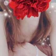 ヒメ日記 2025/09/09 07:45 投稿 弓田 さくら 30代40代50代と遊ぶなら博多人妻専科24時