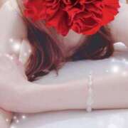 ヒメ日記 2025/10/23 01:21 投稿 弓田 さくら 30代40代50代と遊ぶなら博多人妻専科24時