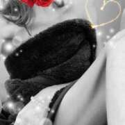 ヒメ日記 2025/12/04 07:45 投稿 弓田 さくら 30代40代50代と遊ぶなら博多人妻専科24時