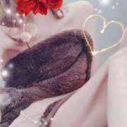 ヒメ日記 2026/01/14 00:24 投稿 弓田 さくら 30代40代50代と遊ぶなら博多人妻専科24時