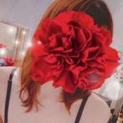 ヒメ日記 2026/01/26 07:20 投稿 弓田 さくら 30代40代50代と遊ぶなら博多人妻専科24時