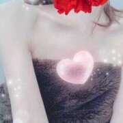 ヒメ日記 2026/02/20 00:15 投稿 弓田 さくら 30代40代50代と遊ぶなら博多人妻専科24時