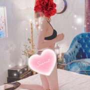 ヒメ日記 2026/02/20 12:20 投稿 弓田 さくら 30代40代50代と遊ぶなら博多人妻専科24時